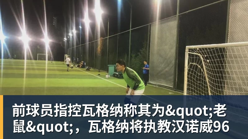 前球员指控瓦格纳称其为"老鼠"，瓦格纳将执教汉诺威96